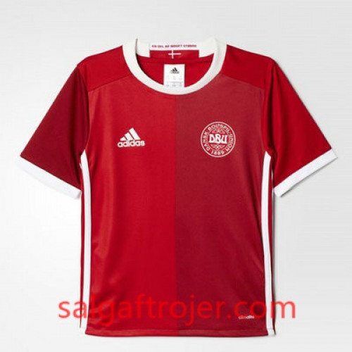 Danmark Fodboldtrøjer Hjemmebanesæt Euro 2016 Kort ærmer Danmark Fodboldtrøjer Hjemmebanesæt Euro 2016 Kort ærmer